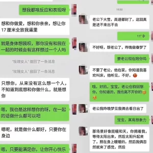 东北骚妇主动约操，淫语不断高潮不停说从来没被操的这么爽过完整版看借